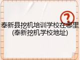 奉新县挖机培训学校在哪里(奉新挖机学校地址)