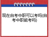 现在自考中职可以考吗(自考中职能考吗)