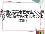 钦州钦南高考艺考生文化课补习班推荐(钦南艺考文化课班)