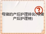 母猪的产后护理排名(母猪产后护理榜)