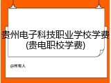贵州电子科技职业学校学费(贵电职校学费)