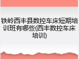 铁岭西丰县数控车床短期培训班有哪些(西丰数控车床培训)