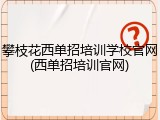 攀枝花西单招培训学校官网(西单招培训官网)