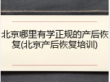 北京哪里有学正规的产后恢复(北京产后恢复培训)