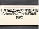 石家庄正定县找单招集训的机构有哪些(正定单招集训机构)