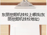 东丽挖掘机技校上哪找(东丽挖掘机技校地址)