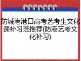 防城港港口高考艺考生文化课补习班推荐(防港艺考文化补习)