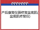 产后康复仪器修复盆底肌(盆底肌修复仪)