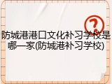 防城港港口文化补习学校是哪一家(防城港补习学校)