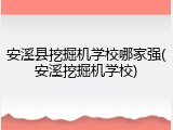 安溪县挖掘机学校哪家强(安溪挖掘机学校)