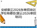 安顺紫云2026年单招培训学校有哪些(紫云2026单招培训)
