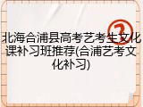 北海合浦县高考艺考生文化课补习班推荐(合浦艺考文化补习)