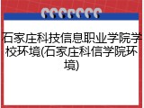石家庄科技信息职业学院学校环境(石家庄科信学院环境)