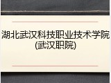 湖北武汉科技职业技术学院(武汉职院)