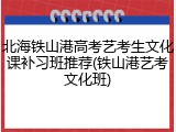北海铁山港高考艺考生文化课补习班推荐(铁山港艺考文化班)