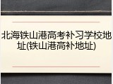 北海铁山港高考补习学校地址(铁山港高补地址)
