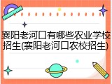 襄阳老河口有哪些农业学校招生(襄阳老河口农校招生)