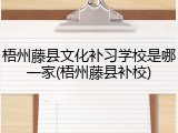 梧州藤县文化补习学校是哪一家(梧州藤县补校)