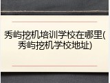秀屿挖机培训学校在哪里(秀屿挖机学校地址)