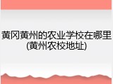 黄冈黄州的农业学校在哪里(黄州农校地址)