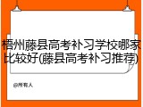 梧州藤县高考补习学校哪家比较好(藤县高考补习推荐)