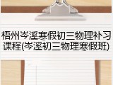 梧州岑溪寒假初三物理补习课程(岑溪初三物理寒假班)