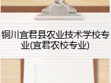 铜川宜君县农业技术学校专业(宜君农校专业)