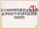 大兴安岭呼玛县农业技术职业学校好不好(呼玛农技职校如何)