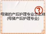 母猪的产后护理专业怎么样(母猪产后护理专业)