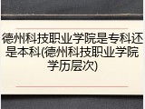 德州科技职业学院是专科还是本科(德州科技职业学院学历层次)
