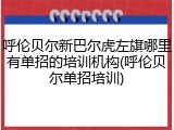 呼伦贝尔新巴尔虎左旗哪里有单招的培训机构(呼伦贝尔单招培训)