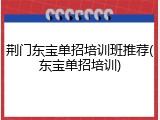 荆门东宝单招培训班推荐(东宝单招培训)