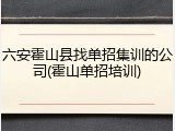 六安霍山县找单招集训的公司(霍山单招培训)