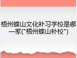 梧州蝶山文化补习学校是哪一家("梧州蝶山补校")