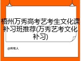 梧州万秀高考艺考生文化课补习班推荐(万秀艺考文化补习)