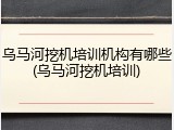 乌马河挖机培训机构有哪些(乌马河挖机培训)