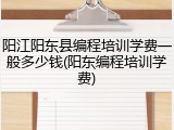 阳江阳东县编程培训学费一般多少钱(阳东编程培训学费)