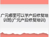 广元哪里可以学产后修复培训班(广元产后修复培训)