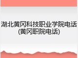 湖北黄冈科技职业学院电话(黄冈职院电话)