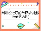荆州松滋好的单招培训(松滋单招培训)