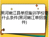 黑河嫩江县单招集训学校要什么条件(黑河嫩江单招条件)
