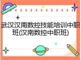 武汉汉南数控技能培训中职班(汉南数控中职班)