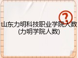 山东力明科技职业学院人数(力明学院人数)