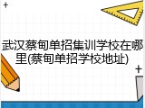 武汉蔡甸单招集训学校在哪里(蔡甸单招学校地址)
