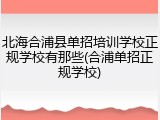 北海合浦县单招培训学校正规学校有那些(合浦单招正规学校)