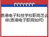 贵港电子科技学校职高怎么样(贵港电子职高如何)