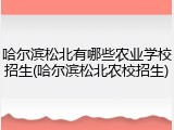 哈尔滨松北有哪些农业学校招生(哈尔滨松北农校招生)