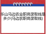 乐山马边农业职高录取线是多少(马边农职高录取线)