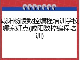 咸阳杨陵数控编程培训学校哪家好点(咸阳数控编程培训)