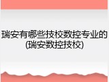 瑞安有哪些技校数控专业的(瑞安数控技校)